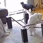 Ups, tylko sprawdzam czy wszystko jest w porządku...