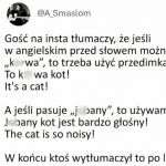 Wytłumaczone zawodowo