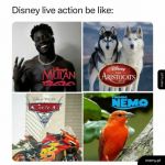 Tak to mniej więcej wygląda