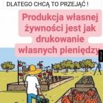 Produkcja własnej żywności