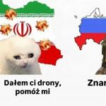 Sojusznicy do końca