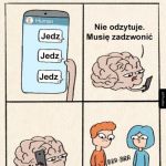 M&oacute;zg dzwoni