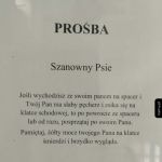 Piesek