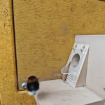 M&oacute;j kot nadal tego nie pojmuje