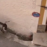 Ja bym miał pełne gacie