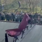 Pomnik dla bohater&oacute;w