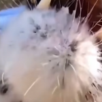 Nie martw się, jest zamknięty