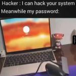 Hacker
