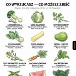 Ciekawostka na dziś