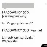 Czas karmienia