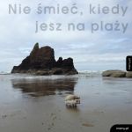 Nie śmieć