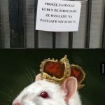 Panujące szczury