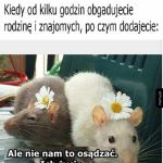 Plotki