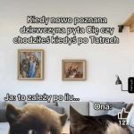 Pytanie