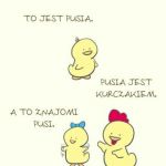 Pusia