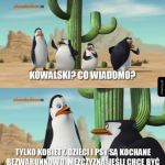 Co wiadomo
