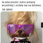Postanowienia