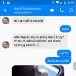 Co jedzą małe koty