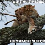 Wszystko ok