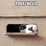 Hasło